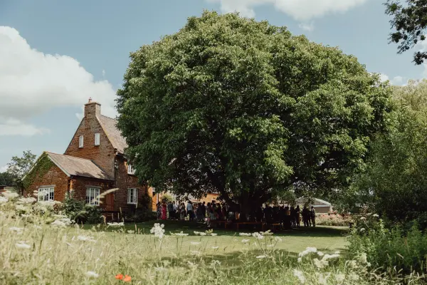 Charming outdoor ceremony under a large tree, with a rustic house in the background and guests gathered in lush greenery.