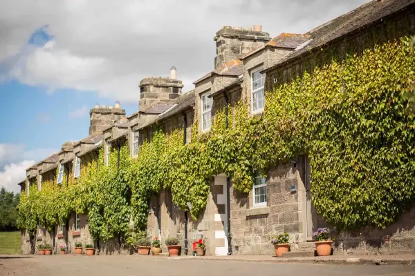 Charming historic building draped in lush green ivy, featuring stone architecture and colorful flower pots, ideal for rustic weddings.