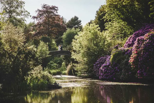 A romantic couple stands on a stone bridge, surrounded by lush greenery and vibrant blooming flowers by a tranquil pond.