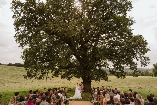 A serene outdoor ceremony under a majestic oak tree, surrounded by lush greenery and guests seated on natural wood chairs.